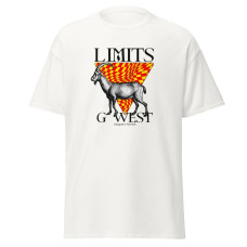 Camiseta Masculina Conquiste o Topo