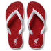 Chinelo Masculino Liverpool Varias Estampas