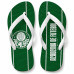 Chinelo Masculino Palmeiras Varias Estampas